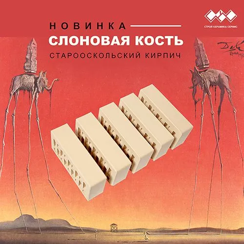 слоны и их кости.jpg